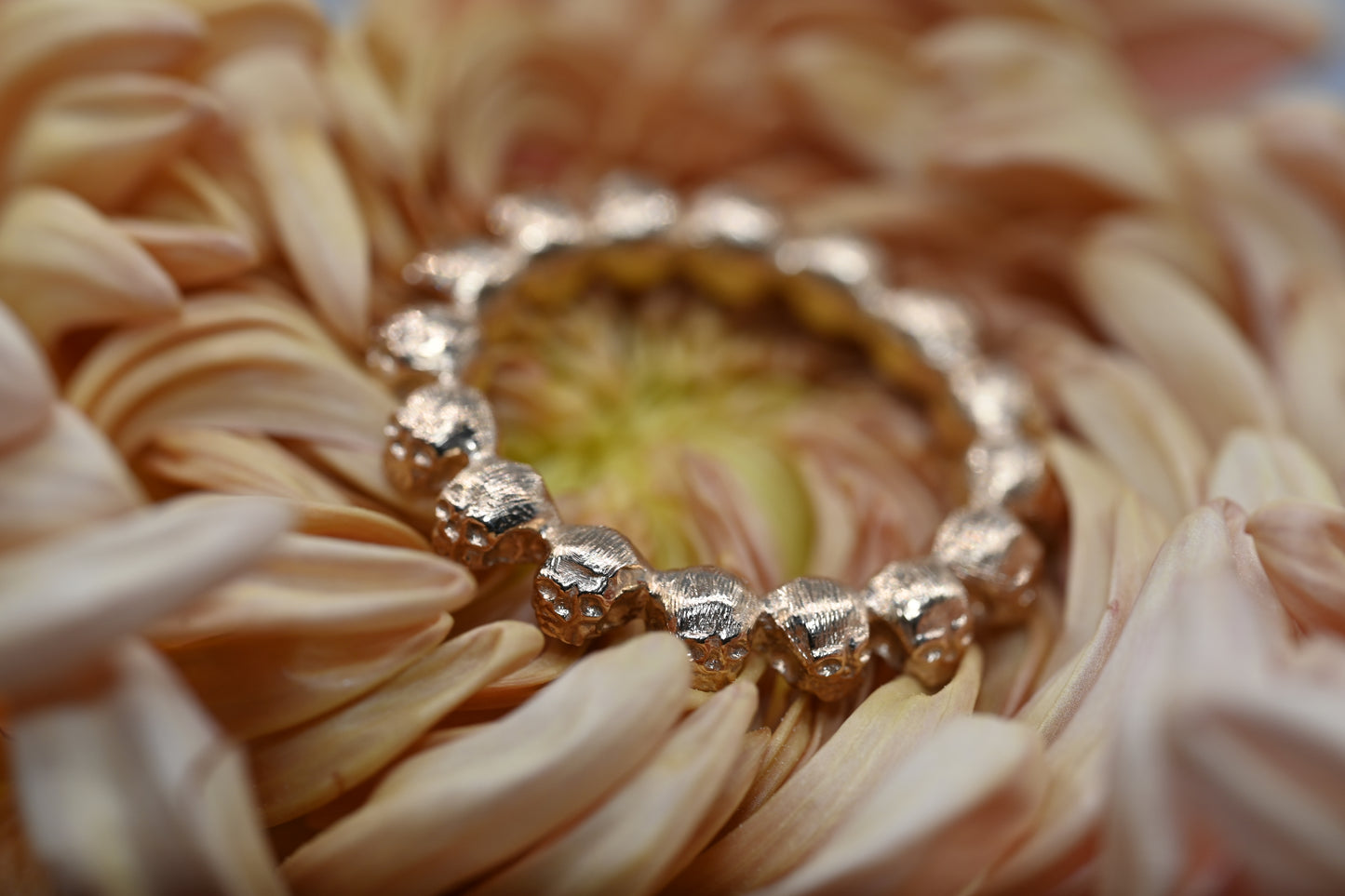 The eternal crown ring